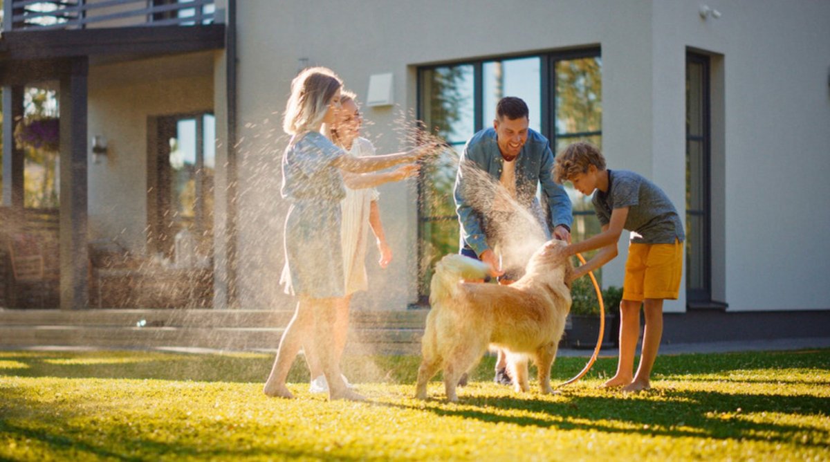 Renters Insurance