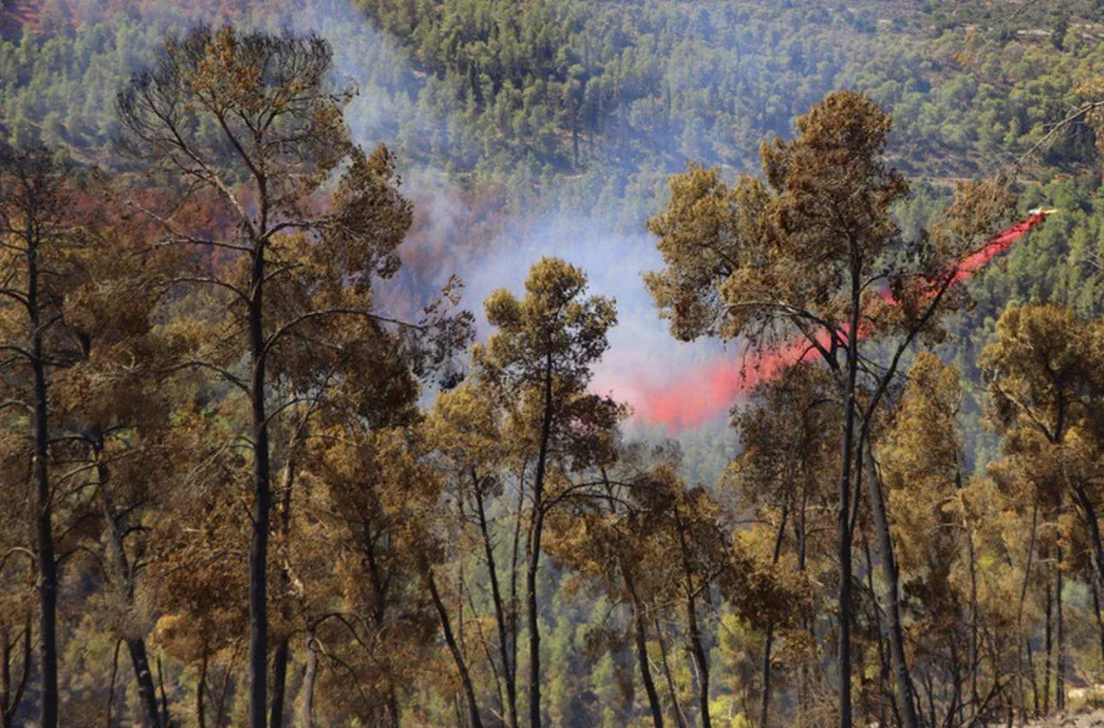 California Wildfires & Your Insurance